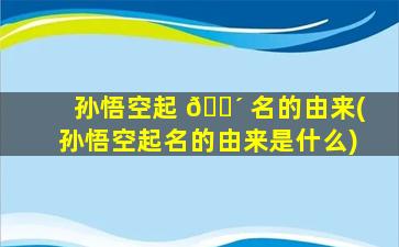 孙悟空起 🐴 名的由来(孙悟空起名的由来是什么)
